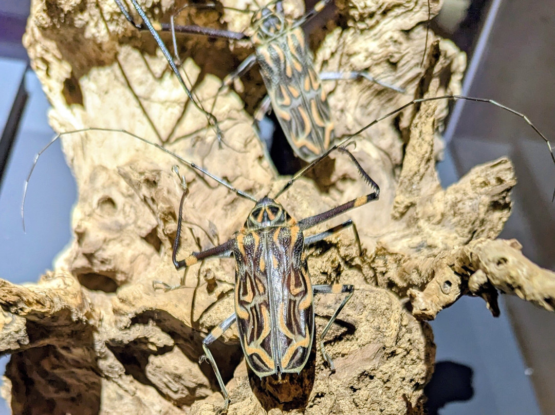 Gasometer Pforzheim-普福尔茨海姆必去景点