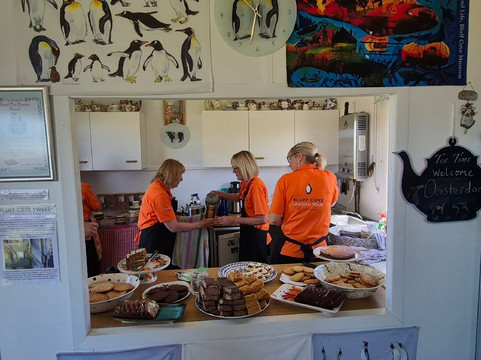 Bluff Cove Lagoon-East Falkland必去景点