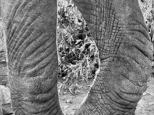 Kampur Travel Diaries-内罗毕必去景点