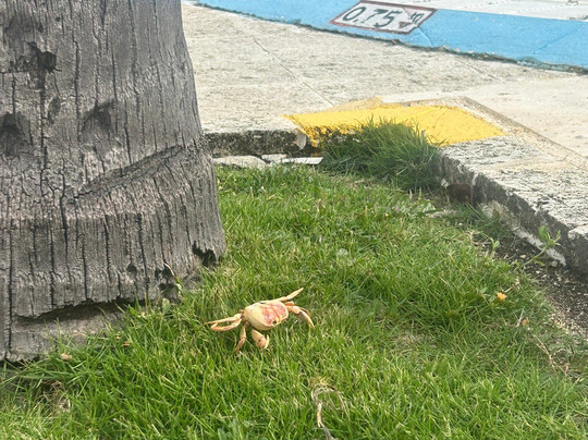 Playa Pesquero-奥尔金必去景点