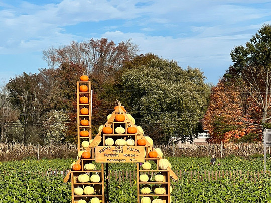 Happy Day Farm-Manalapan必去景点