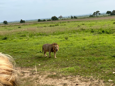 Best tour operator in Tanzania by Rede Tours and Safaris-多多马必去景点