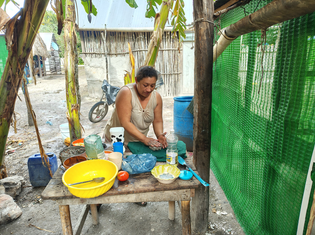 Visit Calakmul-Xpujil Town必去景点