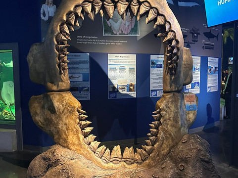 Daytona Aquarium & Rainforest Adventure-代托纳比奇必去景点