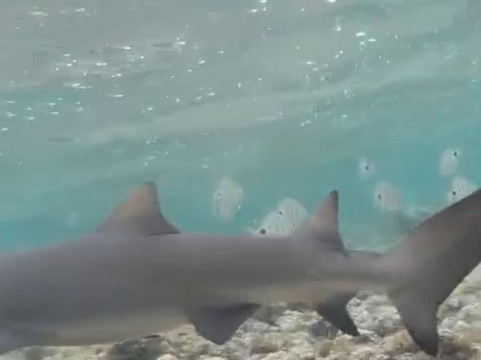 Explore Cape Verde-圣塔玛丽亚必去景点