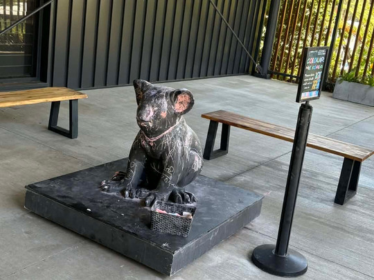 Port Stephens Koala Sanctuary-One Mile必去景点