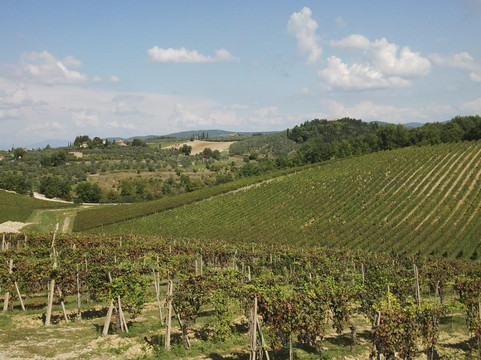 Casa Emma wine tasting-巴尔贝里诺瓦尔德尔萨必去景点