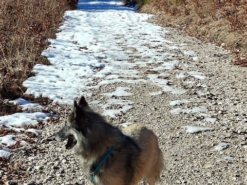 恩斯曼高山旅馆主图