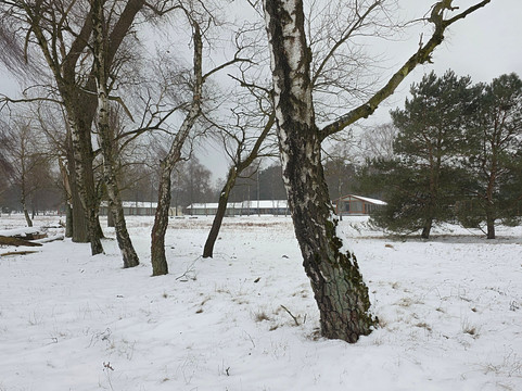 卡普瑞斯赫勒酒店主图