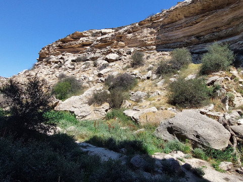 Tamshaly Canyon-Mangystau Province必去景点
