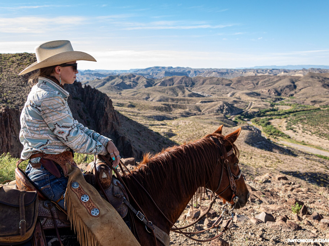 Big Bend & Lajitas Stables-Terlingua必去景点