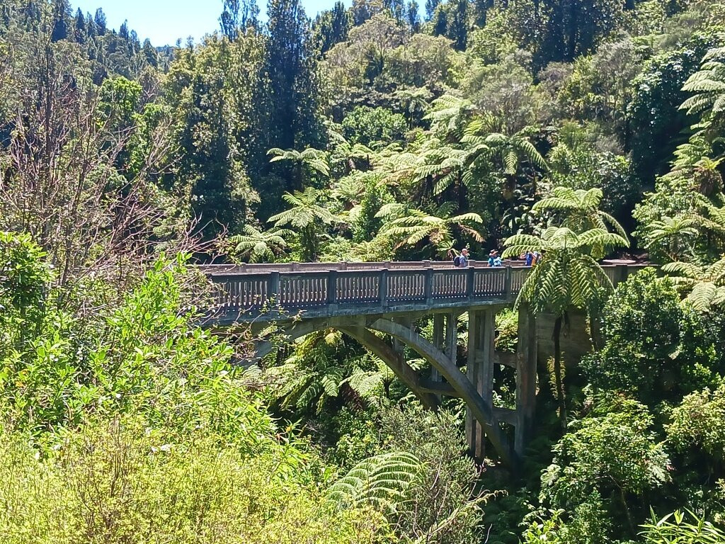 Bridge To Nowhere Tours-旺加努伊必去景点