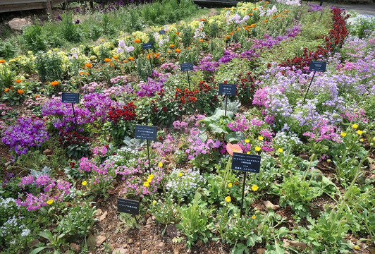 The Kochi Prefectural Makino Botanical Garden-高知市必去景点