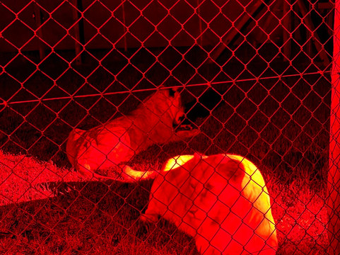 Jukani Wildlife Sanctuary-The Crags必去景点