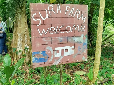 Finca Sura-Puerto Viejo de Sarapiqui必去景点