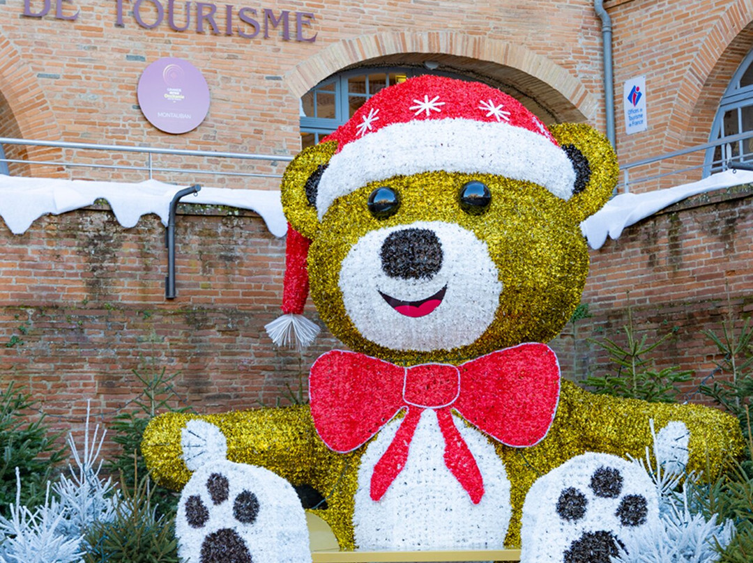 Office de Tourisme du Grand Montauban-蒙托邦必去景点