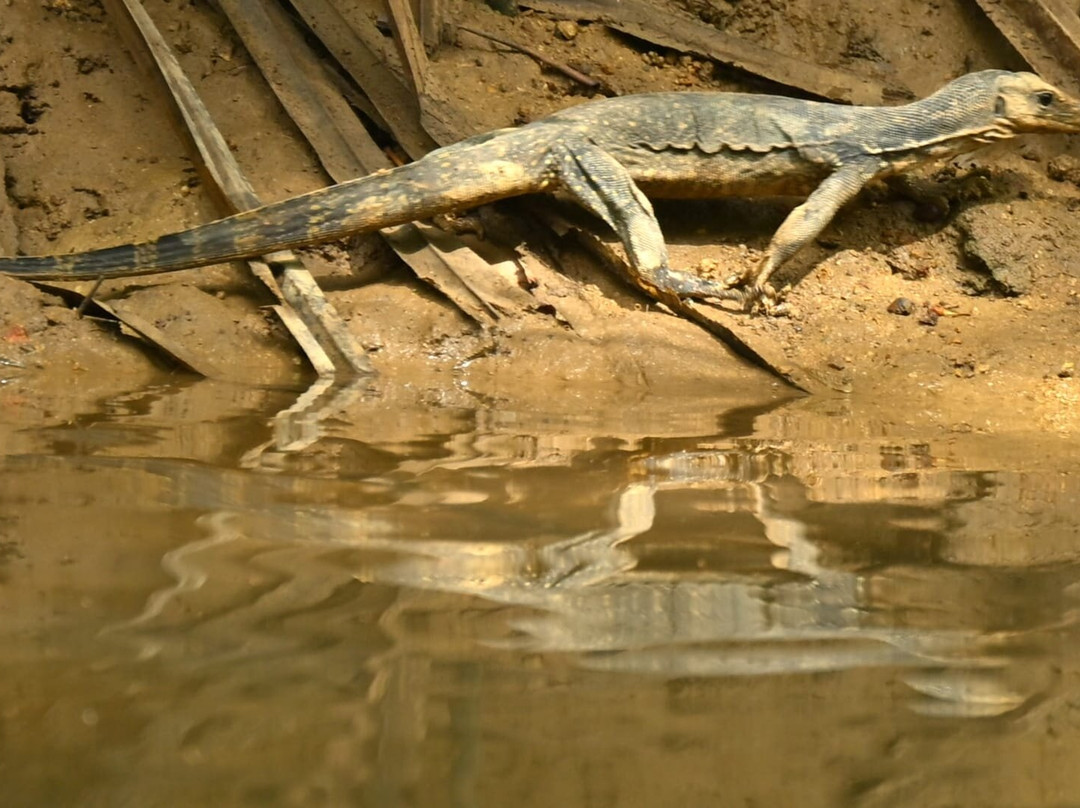 Corazon Travel and Tours-公主港必去景点