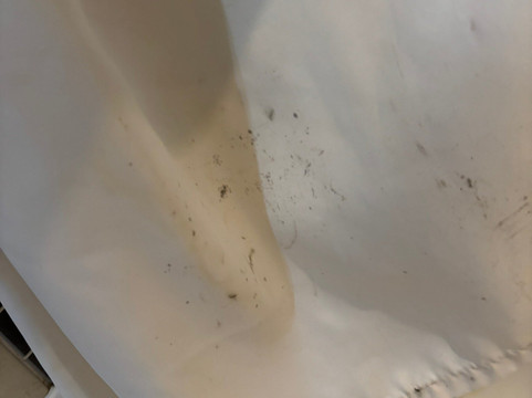 风铃草酒店主图