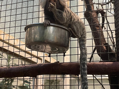 Malmo Reptile Center-马尔默必去景点