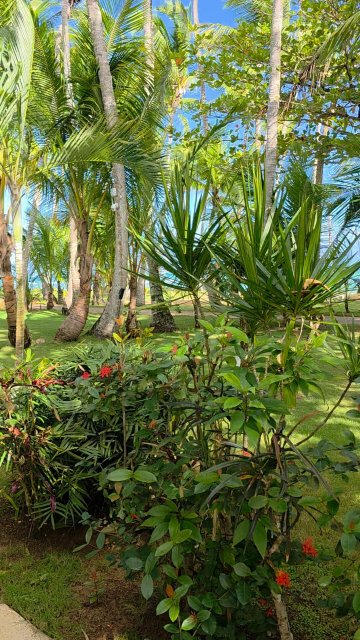 亚特兰提斯酒店-浴室