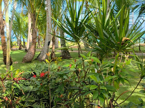 亚特兰提斯酒店主图