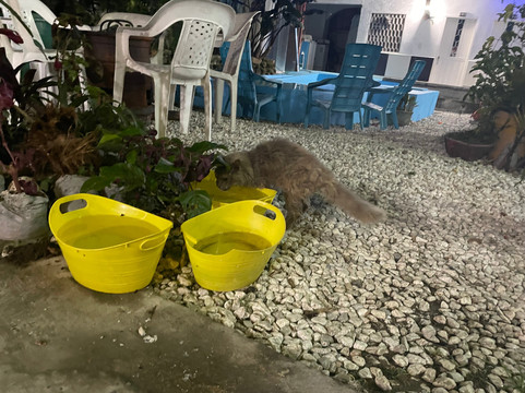 Hotel Minca Express Relax - Base Camp主图