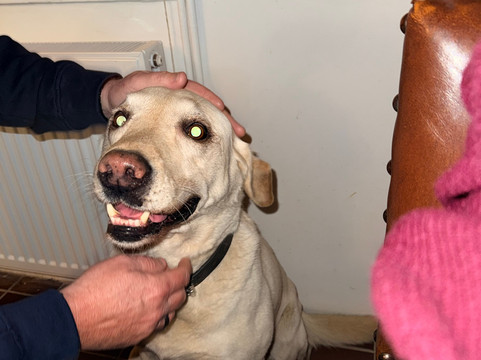 登斯福德民宿主图