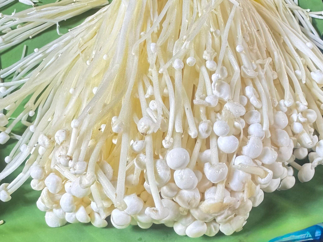 Old Takua Pa Sunday Market-达瓜巴必去景点