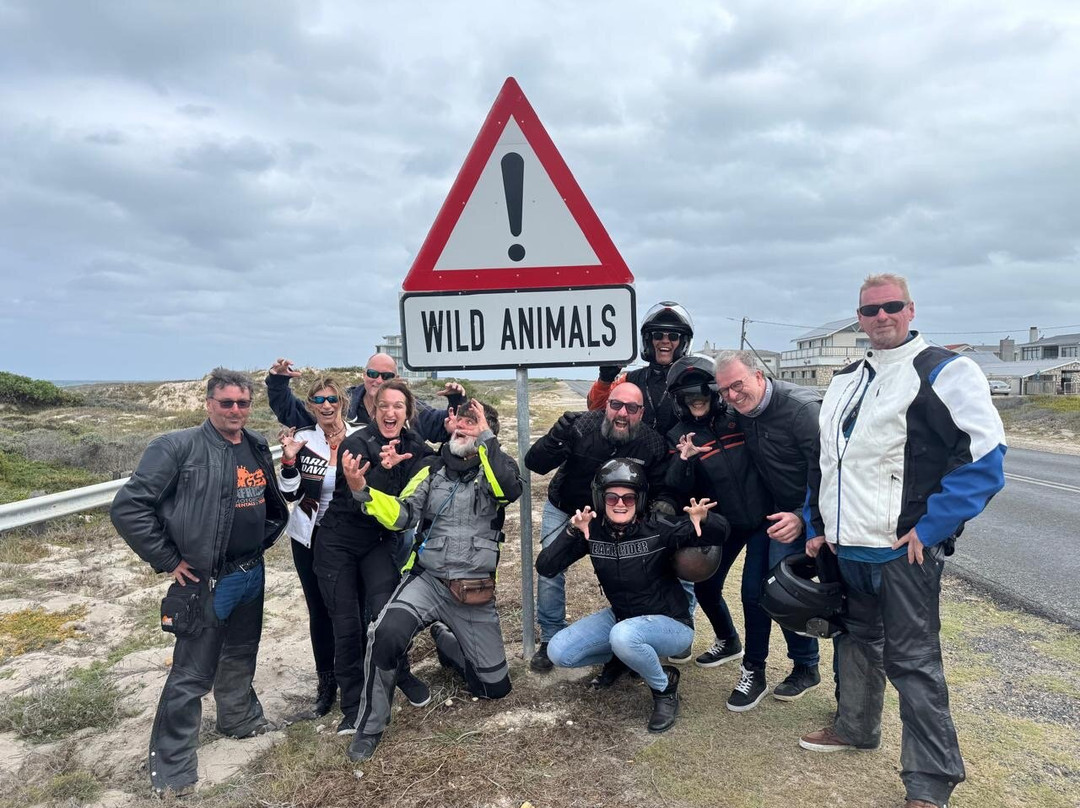 GS Africa | EagleRider SA Motorcycle Tours  & Rentals-开普敦中心区必去景点