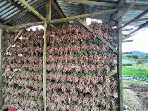 Padang Private Driver-巴东必去景点