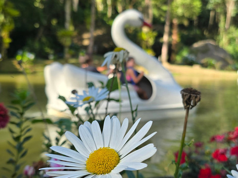 Espaço Garden Margarida-Sao Francisco Xavier必去景点