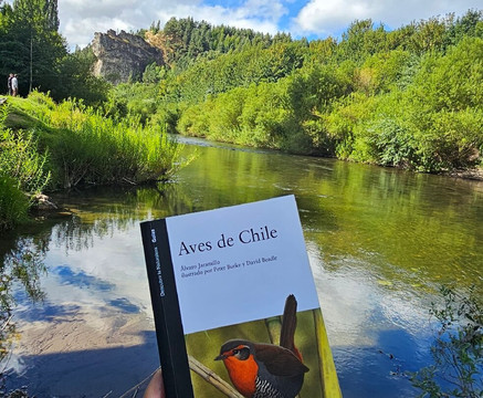 Piedra del Indio-Coyhaique必去景点