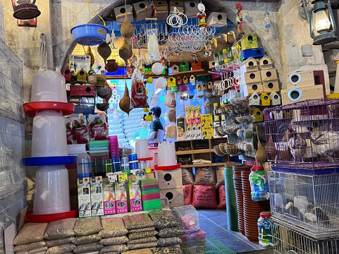 Souq Waqif Falcon Hospital-多哈必去景点