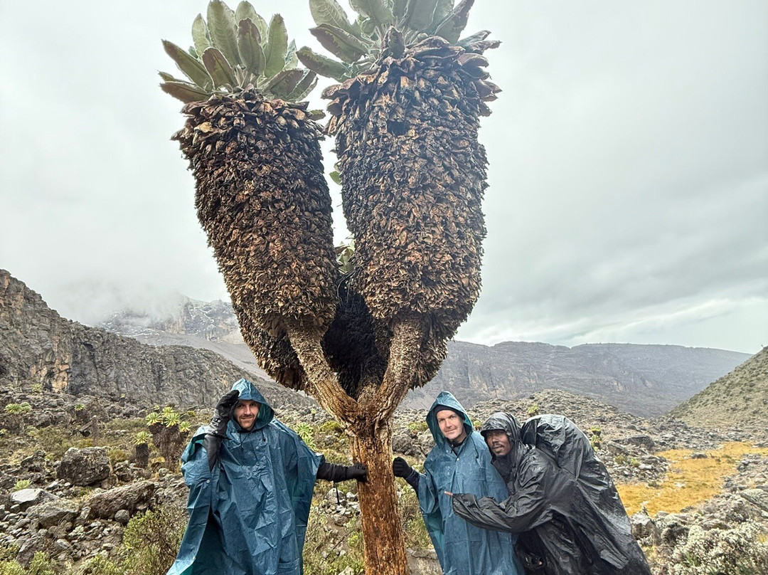 Kilimanjaro On Foot-阿鲁沙必去景点