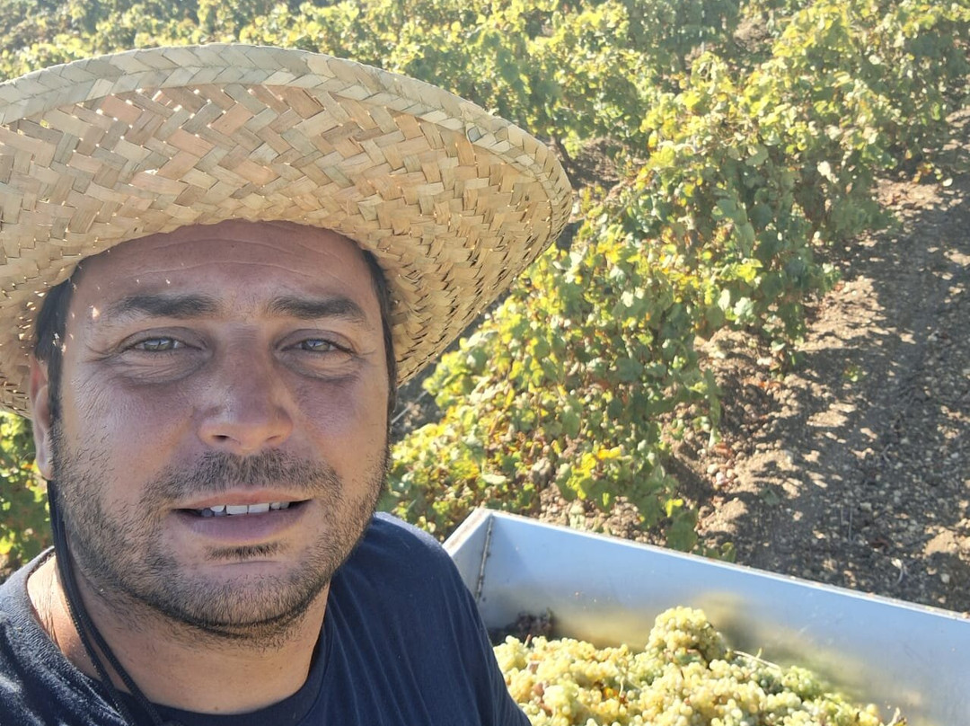 Gandolfo Vini-马尔萨拉必去景点