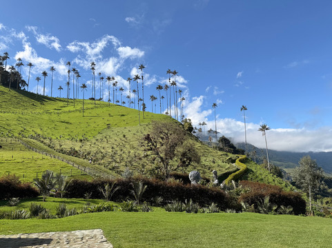 Rutas Cafeteras Tours-Circasia必去景点