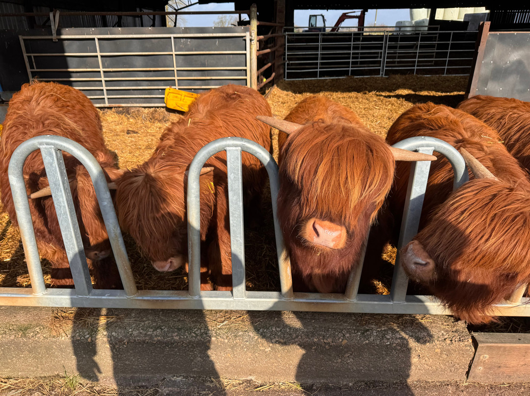 Dumble Farm-比弗利必去景点