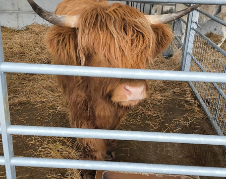 Hall Hill Farm-达勒姆必去景点