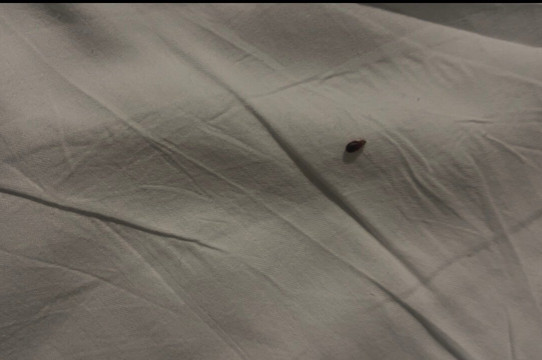 安德森海洋俱乐部及欧亚娜水疗度假村主图