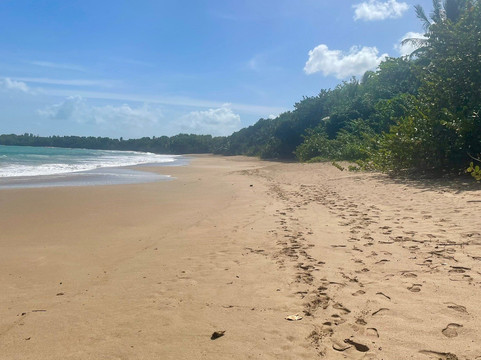 Plage Cluny-Sainte Rose必去景点