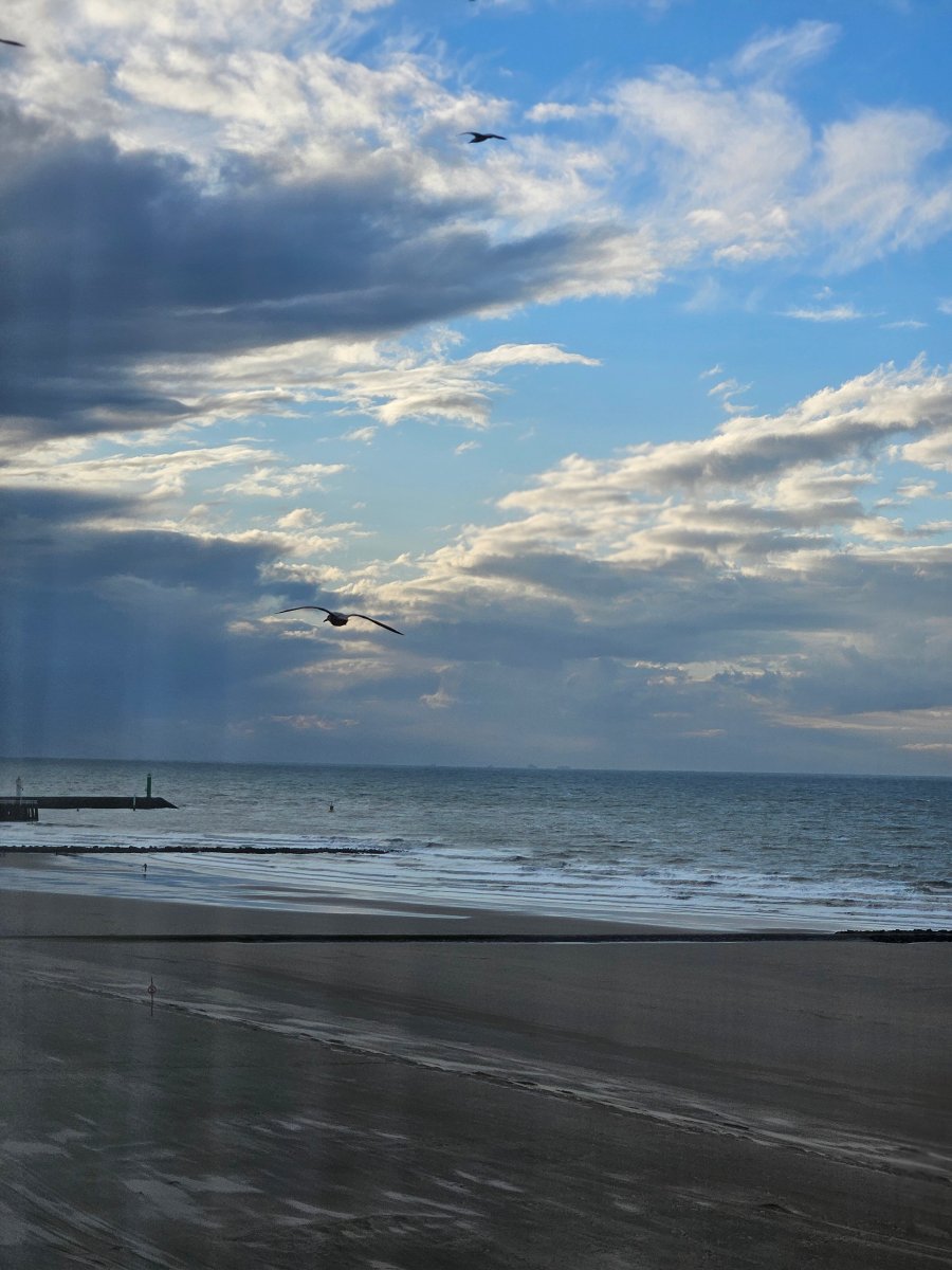 赫利俄斯酒店-酒店景观