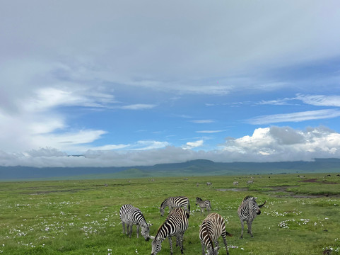 易捷旅游-一日游-阿鲁沙必去景点