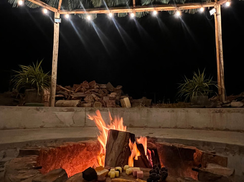 Bodega Y Viñedo Sotelo-伊卡必去景点