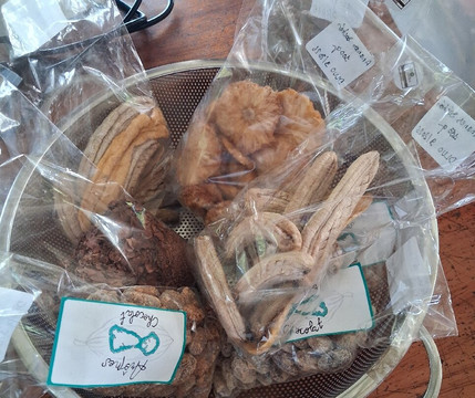 Arômes Chocolat-Tevaitoa必去景点