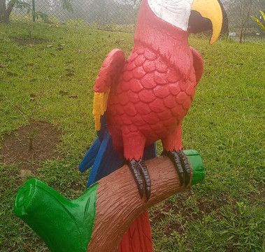 Interbus-圣何塞必去景点