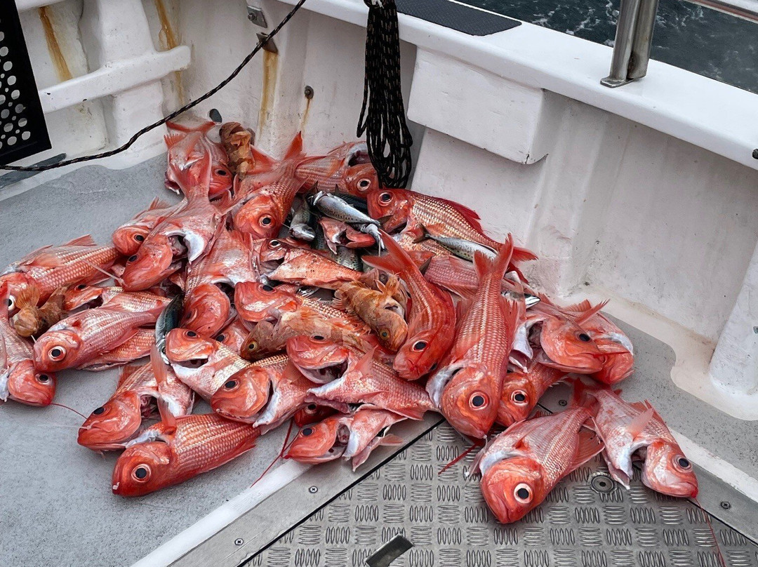 Reef Encounters Fishing Charters-Marion Bay必去景点