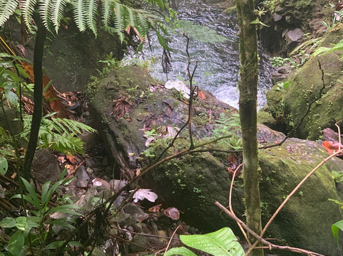 Jacko Falls-Morne Trois Pitons National Park必去景点