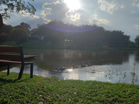 拉各斯塞特农场酒店主图
