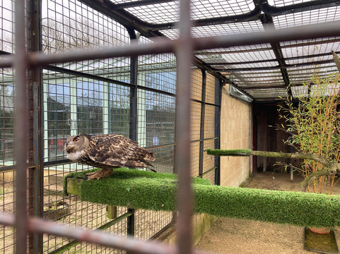 Studley Grange Garden And Leisure Park-Wroughton必去景点