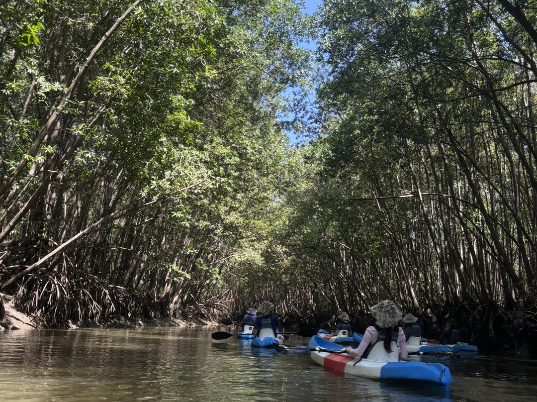 Epic Adventures Costa Rica-哥斯达黎加安东尼奥国家公园必去景点